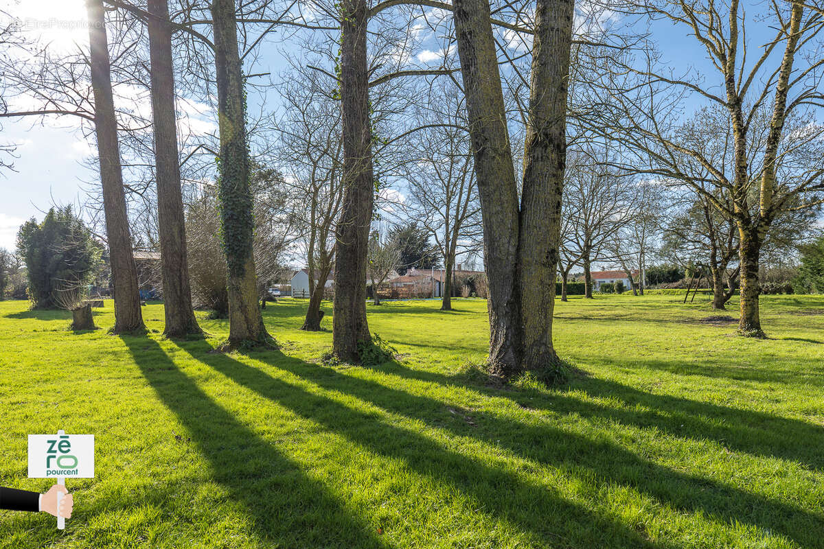 Maison à CHATEAUNEUF