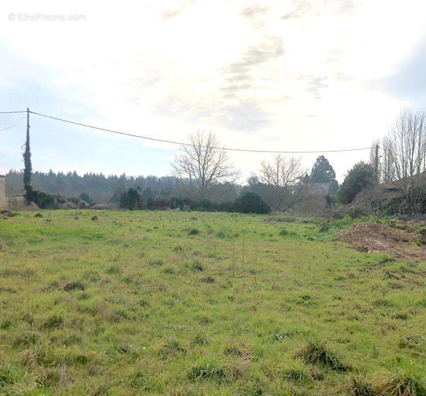 Terrain à MIGNE-AUXANCES