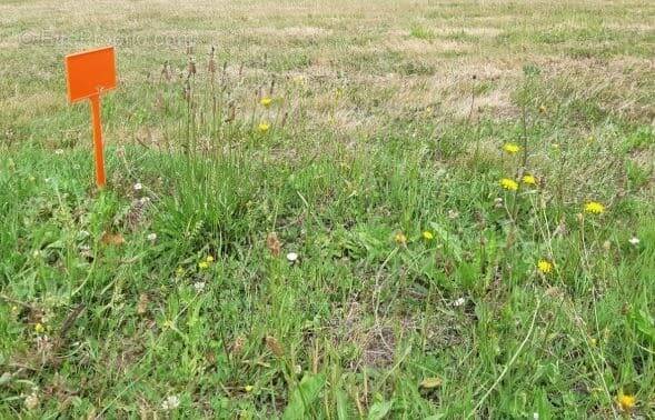 Terrain à ARTHON-EN-RETZ