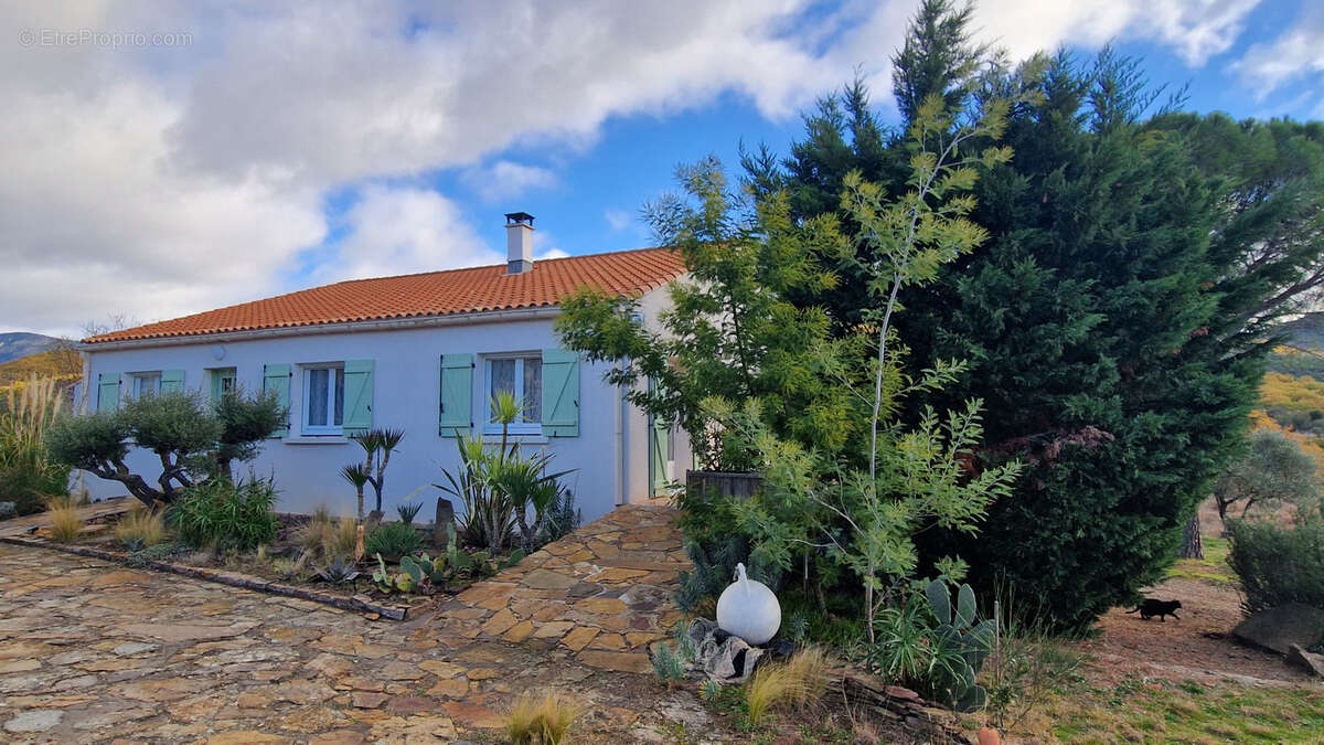 Maison à SAINT-JEAN-DE-LA-BLAQUIERE