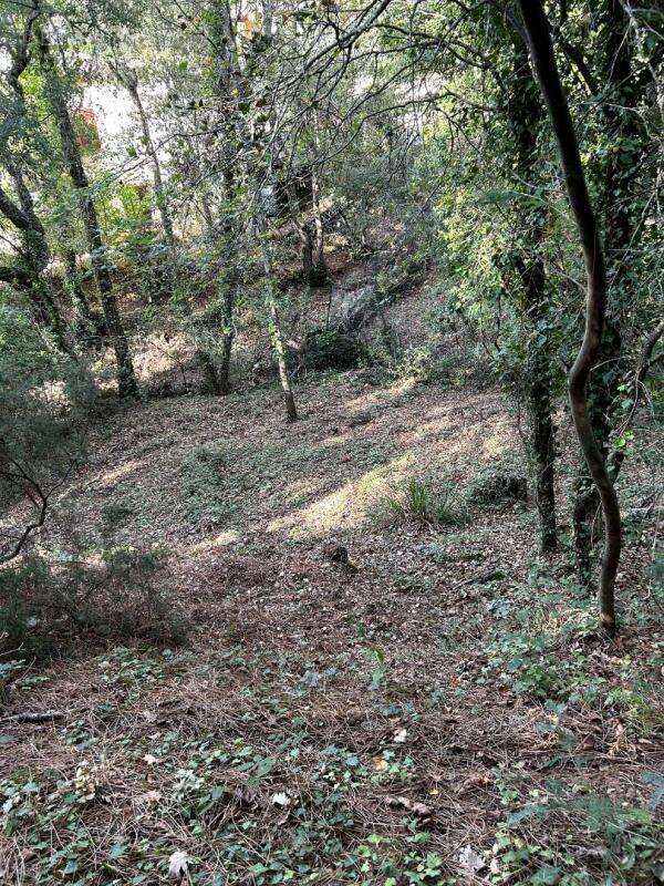 Terrain à LES ADRETS-DE-L'ESTEREL