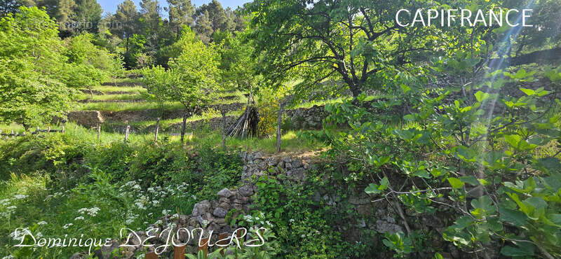 Maison à SAINT-SAUVEUR-DE-MONTAGUT