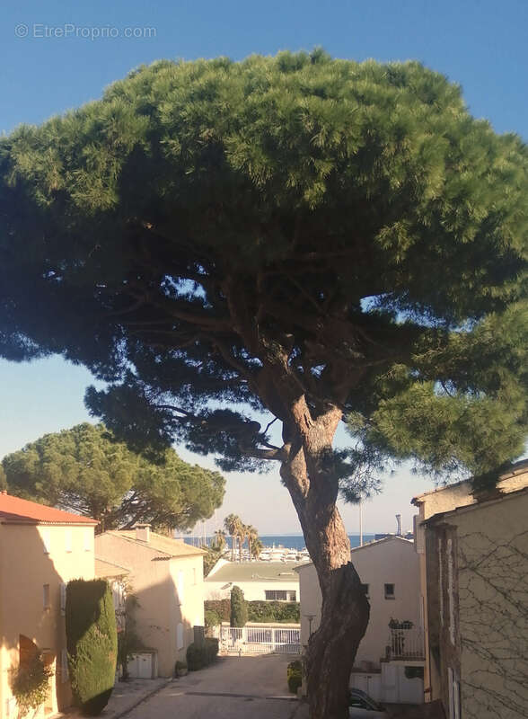Maison à HYERES