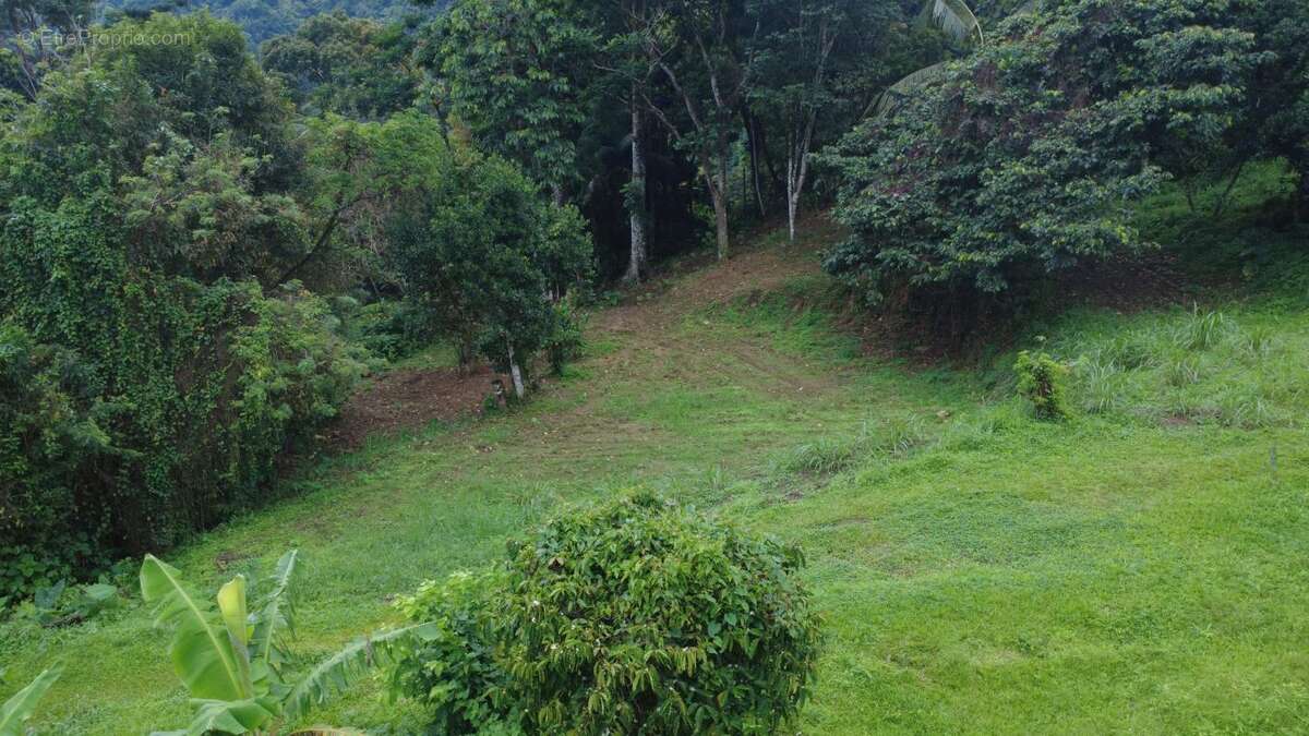 Terrain à FORT-DE-FRANCE