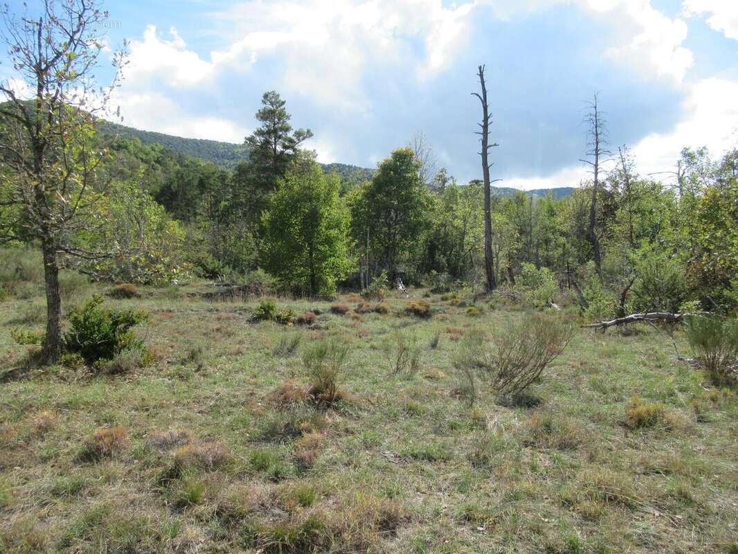 Photo 4 - Terrain à ENTREVAUX