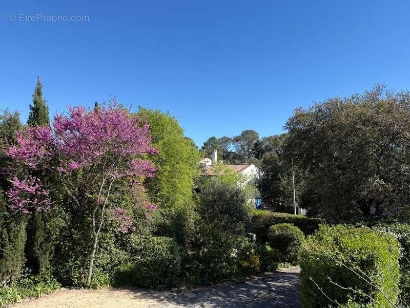Maison à MONTPELLIER