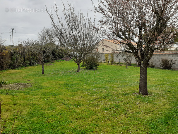 Terrain à SALLES-SUR-MER