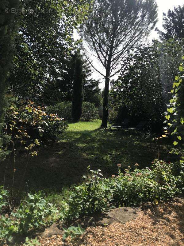 Maison à VAISON-LA-ROMAINE