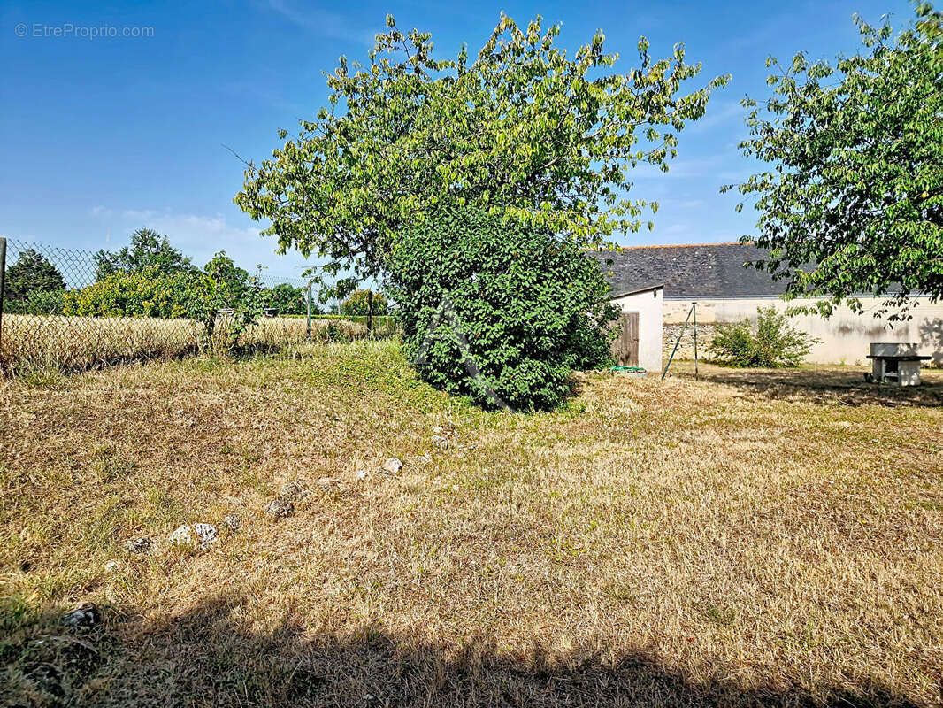 Maison à AMBILLOU-CHATEAU