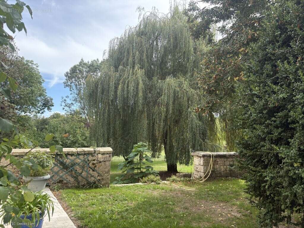 Maison à VILLEFAGNAN