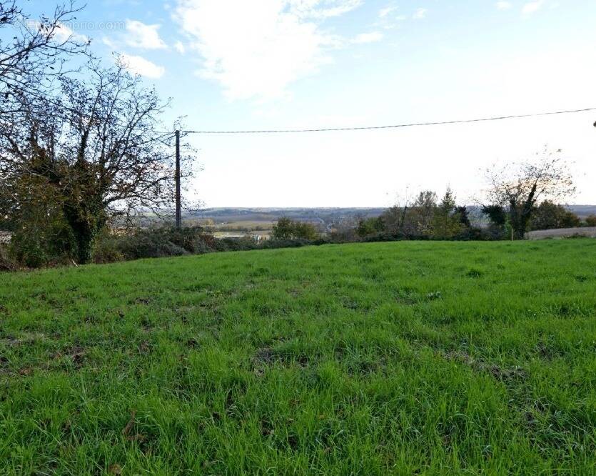 Terrain à AURIAC-SUR-DROPT
