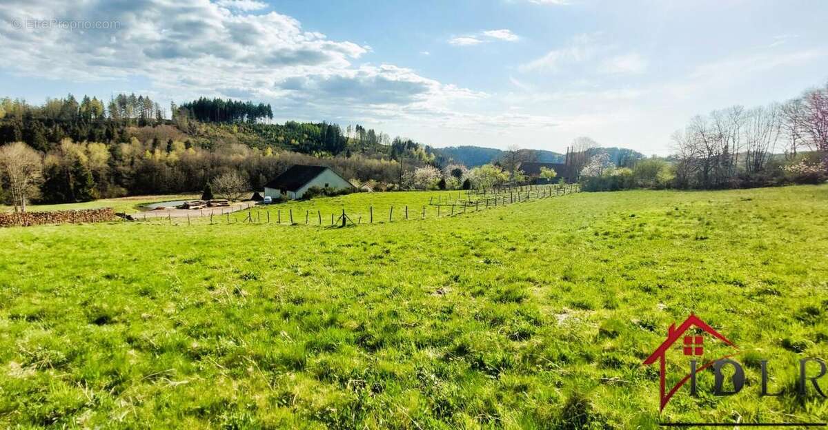 Ancienne ferme à renover avec étang,3 hectares de terrain - photo 10
