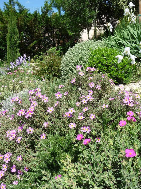 Maison à AUBRES