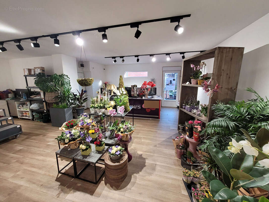 Commerce à SAINT-AMAND-LES-EAUX