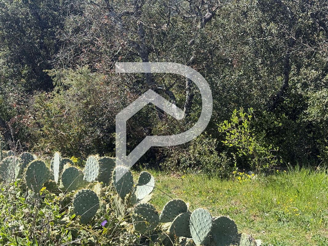 Maison à LA VERDIERE