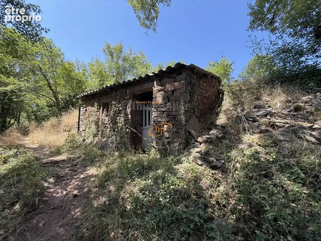 Photo Maison à Saint-Affrique au prix de 19 900€