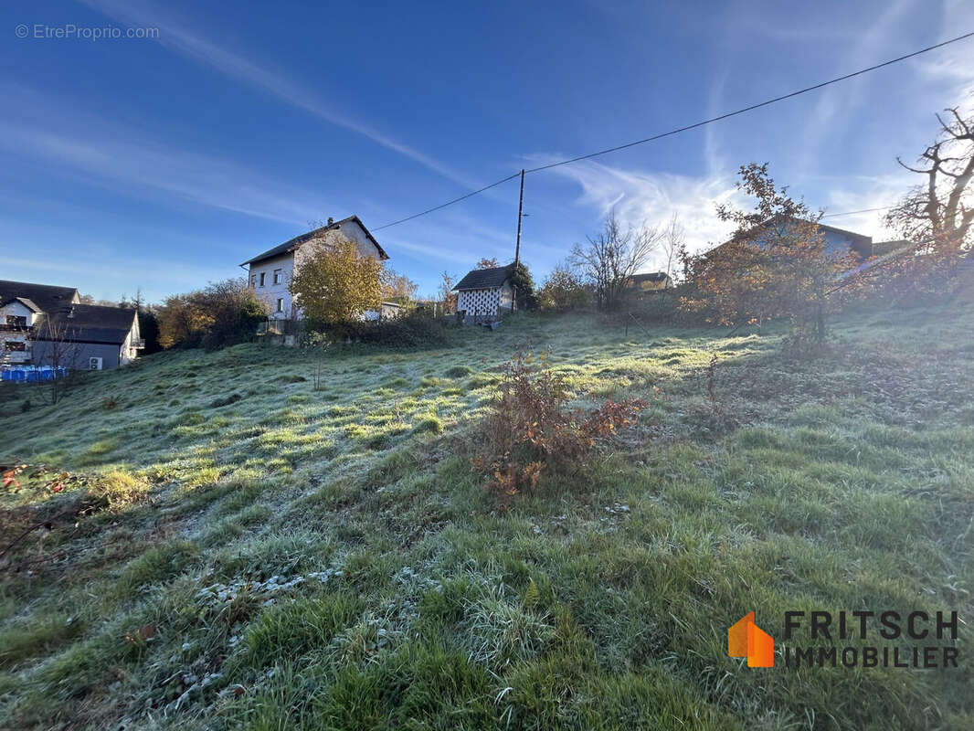 Terrain à SEPPOIS-LE-HAUT