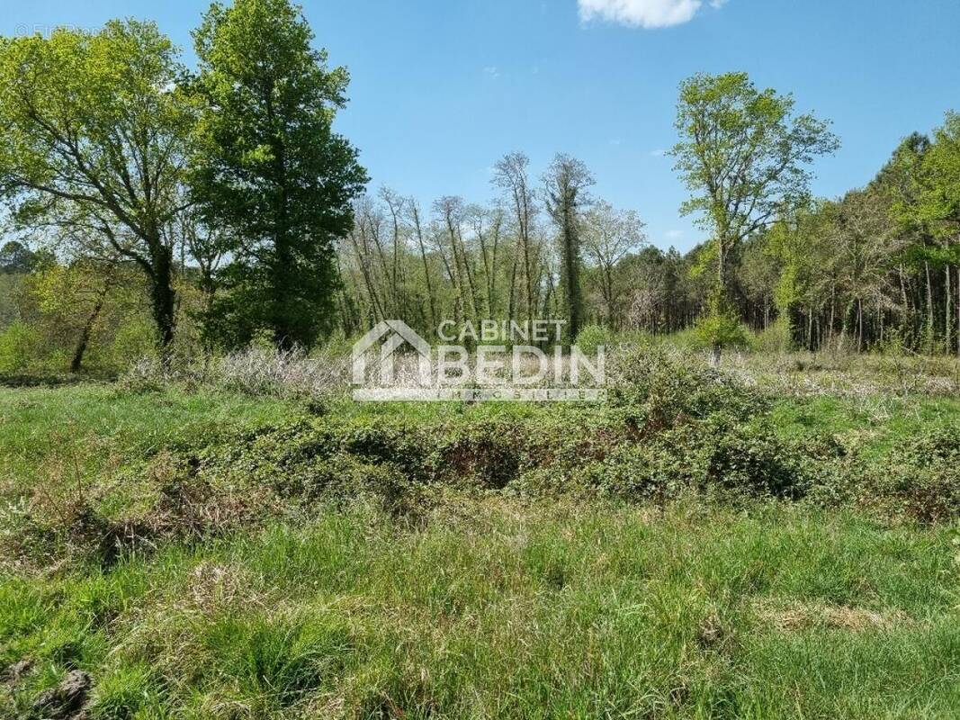 Terrain à SAINT-PAUL-EN-BORN