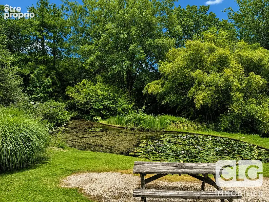 Maison Saint Yvi - photo 12