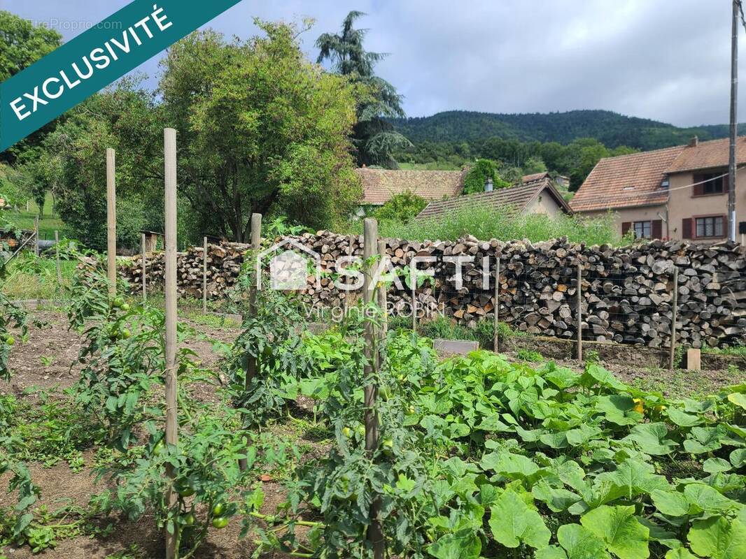 Maison 171 m² à Breitenbach  - photo 1