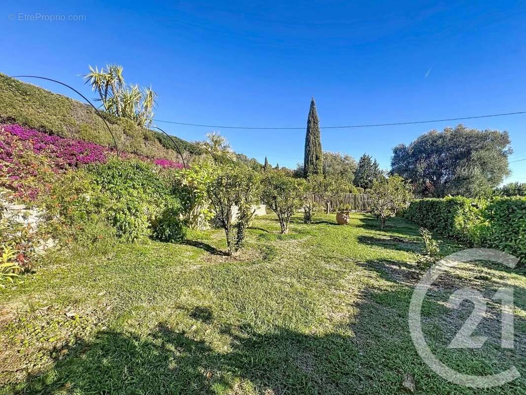 Maison 162 m² à Mougins  - photo 38