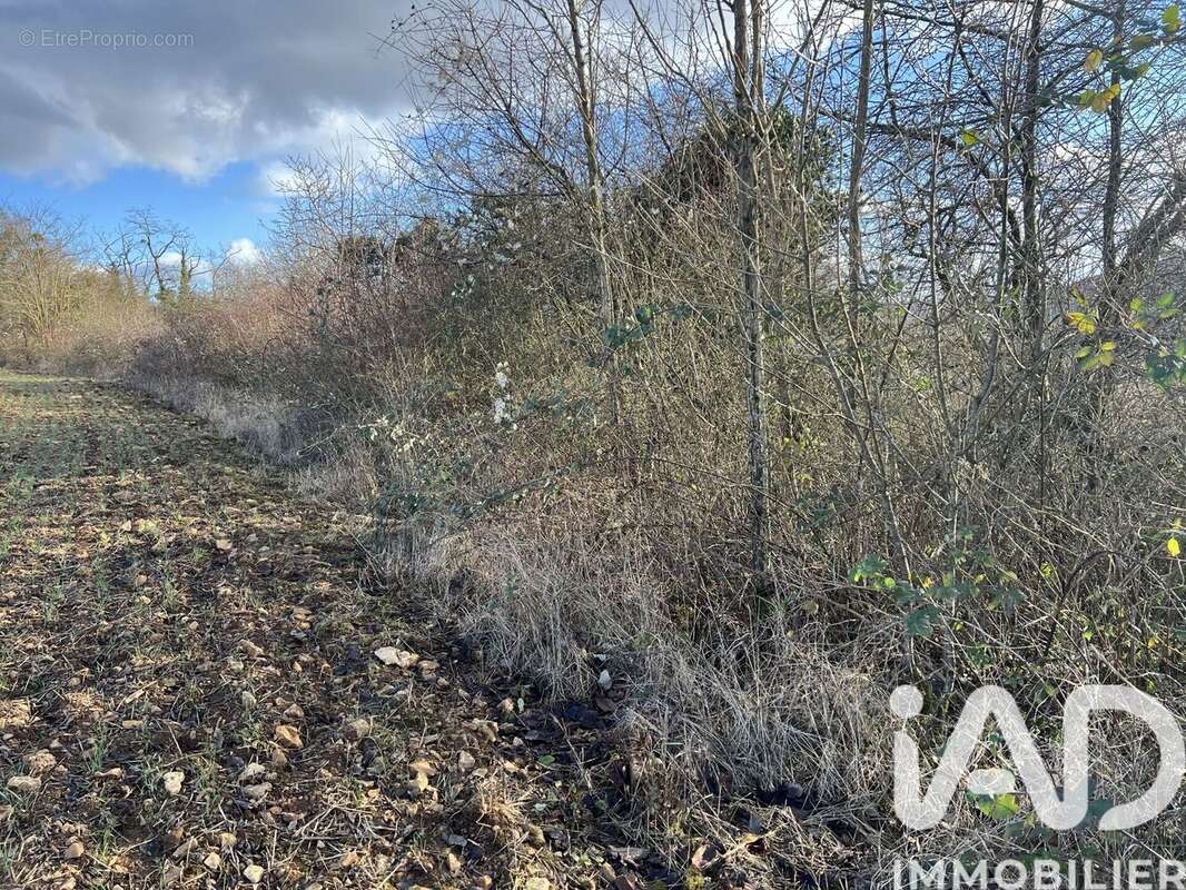 Photo 4 - Terrain à PONT-A-MOUSSON