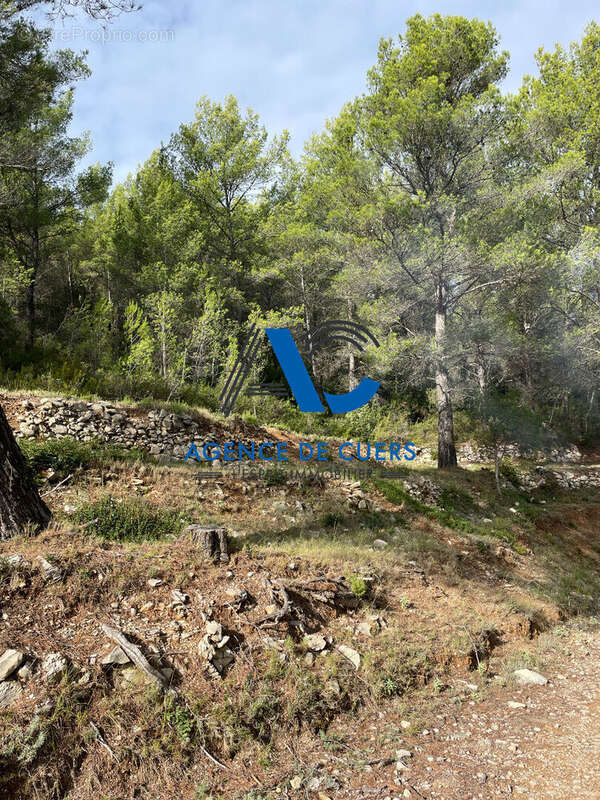 Terrain à SOLLIES-TOUCAS