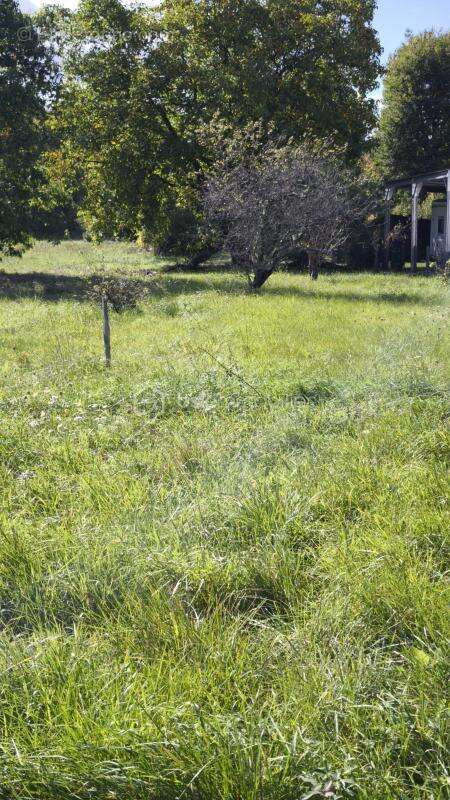 Terrain à SAINT-GONDON