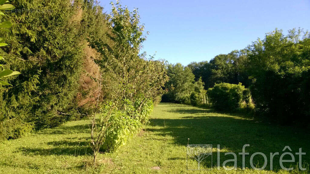Terrain à NOISY-SUR-ECOLE