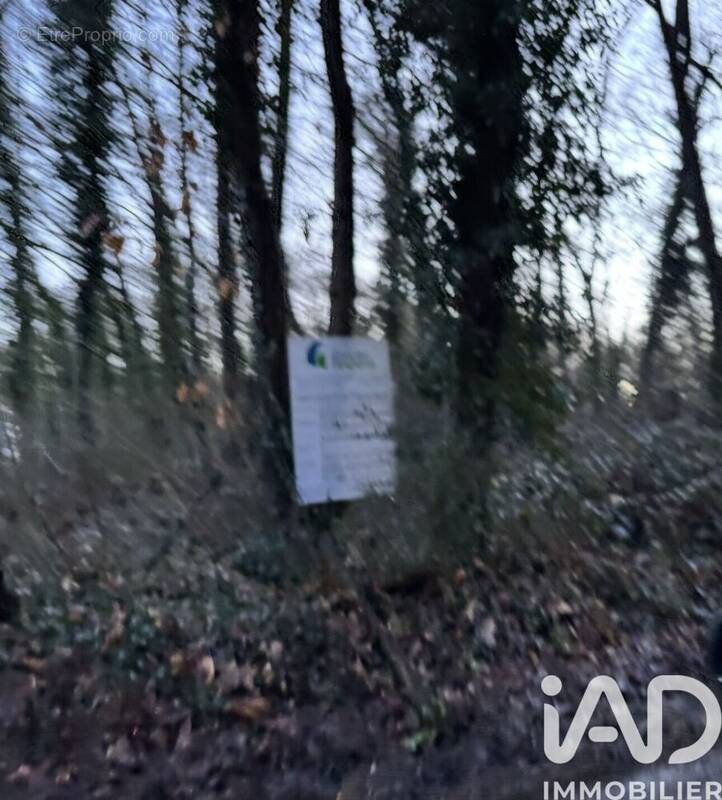 Photo 1 - Terrain à LES MOLIERES