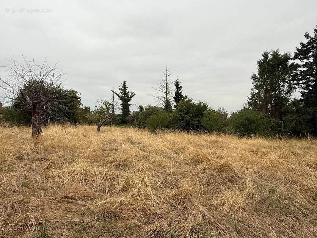 Terrain 3400 m² à Verneuil-Sur-Igneraie  - photo 2