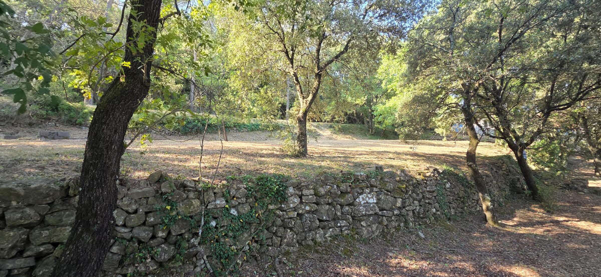 Maison de plain-pied  95 m² habitables sur 1 670 m² de terrain 84430 Mondragon - photo 7