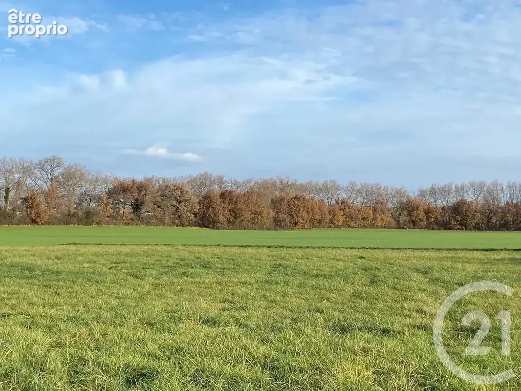 Photo Terrain à Montesquieu-Lauragais au prix de 67 000€