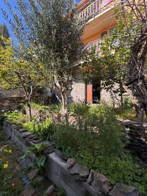 Maison à PORT-VENDRES