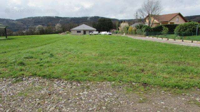 IMG_5891 - Terrain à SAINT-ETIENNE-LES-REMIREMONT