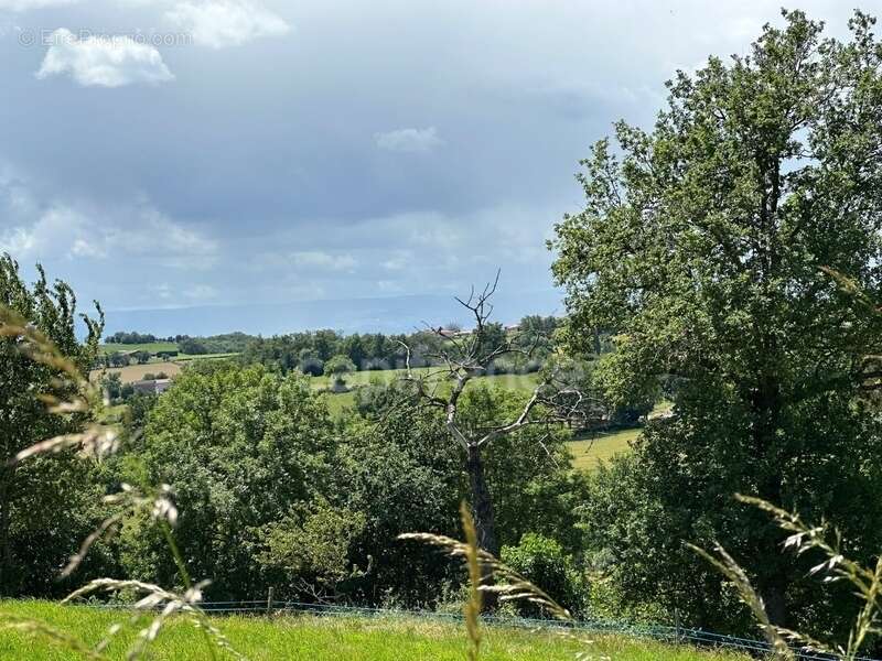 Corps de ferme rénové à vendre 9 pièces 297 m² avec 5 000 m² de terrain SAINT CLEMENT LES PLACES (69) - photo 3