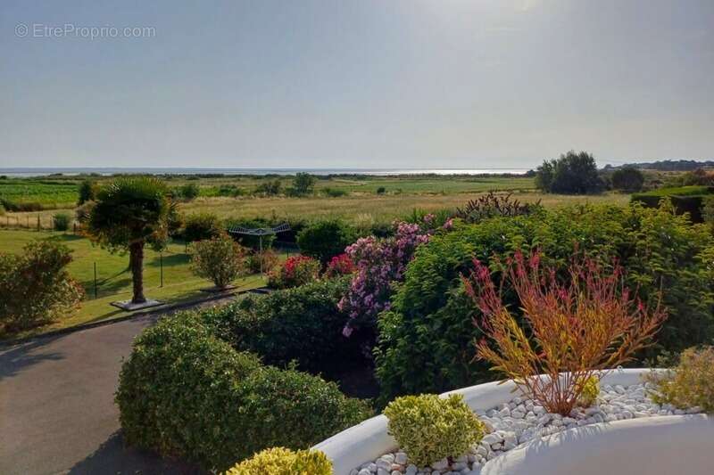 Maison à PORT-DES-BARQUES