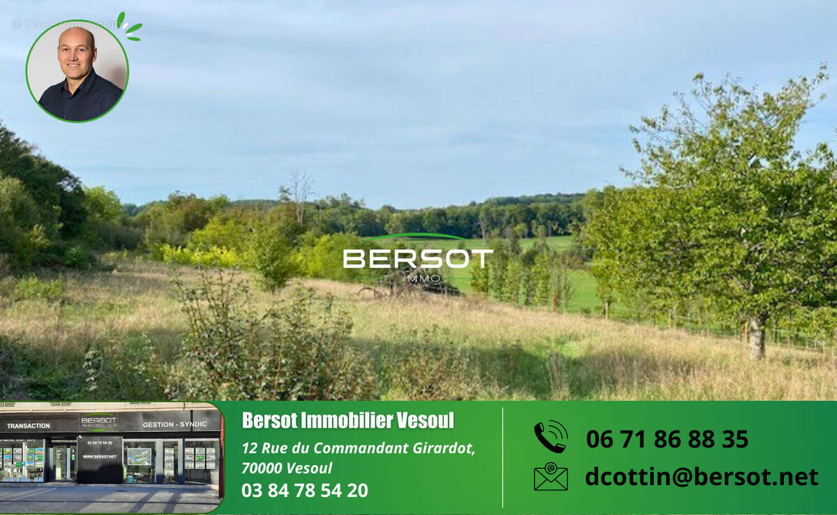 Terrain à VELLE-LE-CHATEL