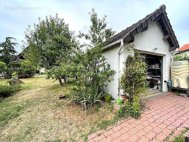 IMG_6813 - Maison à YERRES