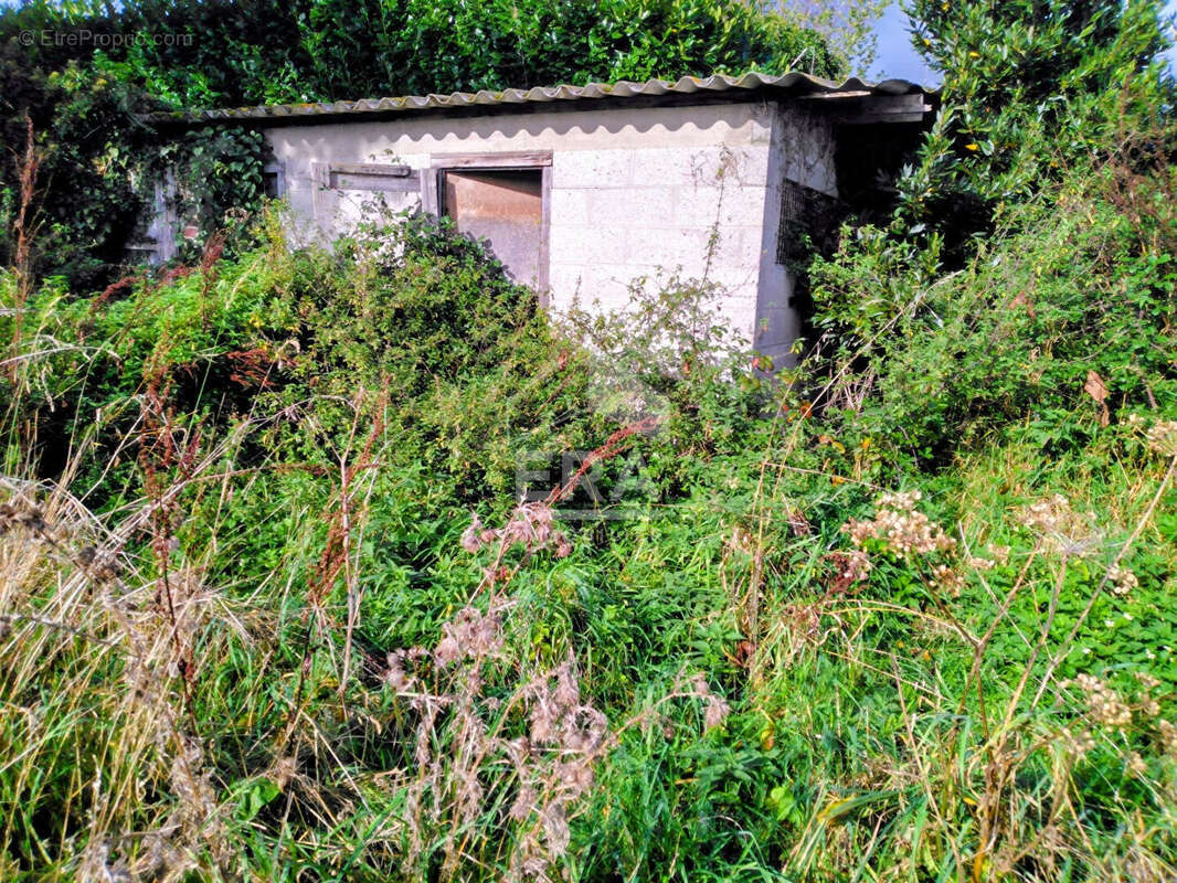 Terrain à BELLENGREVILLE