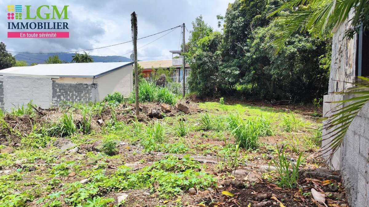 Terrain à LE TAMPON