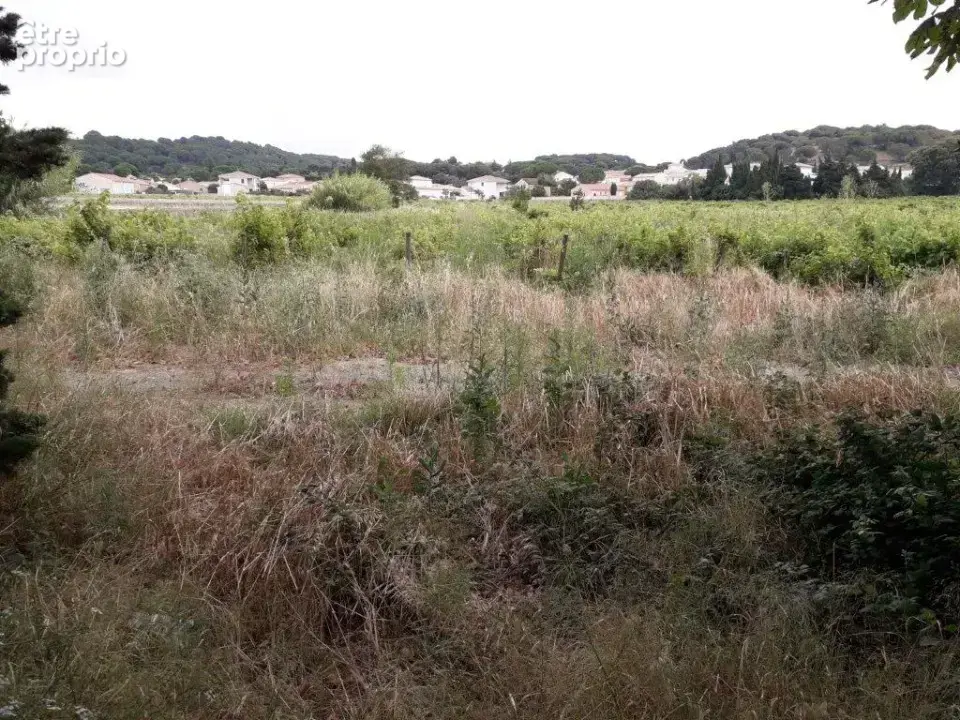 Terrain 462 m² à Saint-Laurent-De-La-Cabrerisse  - photo 2