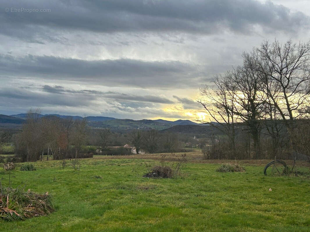 Terrain à BORT-L'ETANG