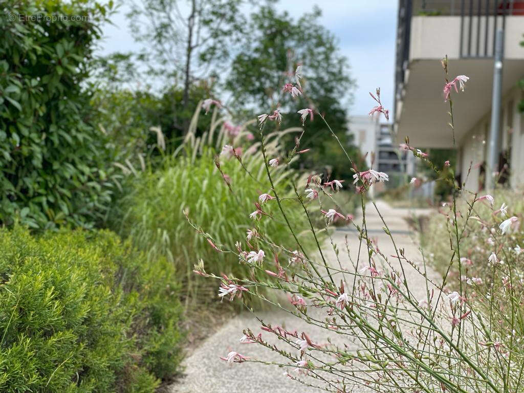 Appartement à JUVIGNAC