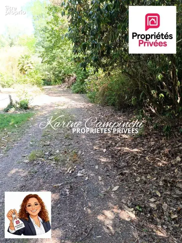 Un écrin de verdure pour votre projet, à Saint-Briac-sur-Mer - photo 2