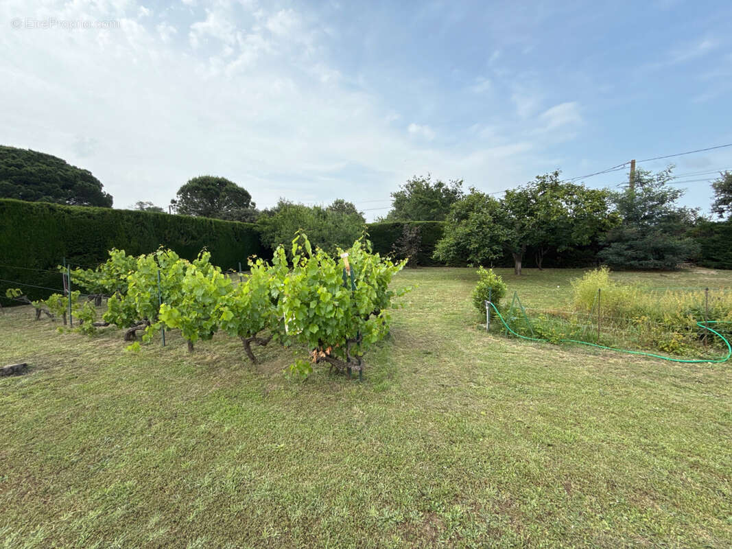 Maison à MAUREILLAS-LAS-ILLAS