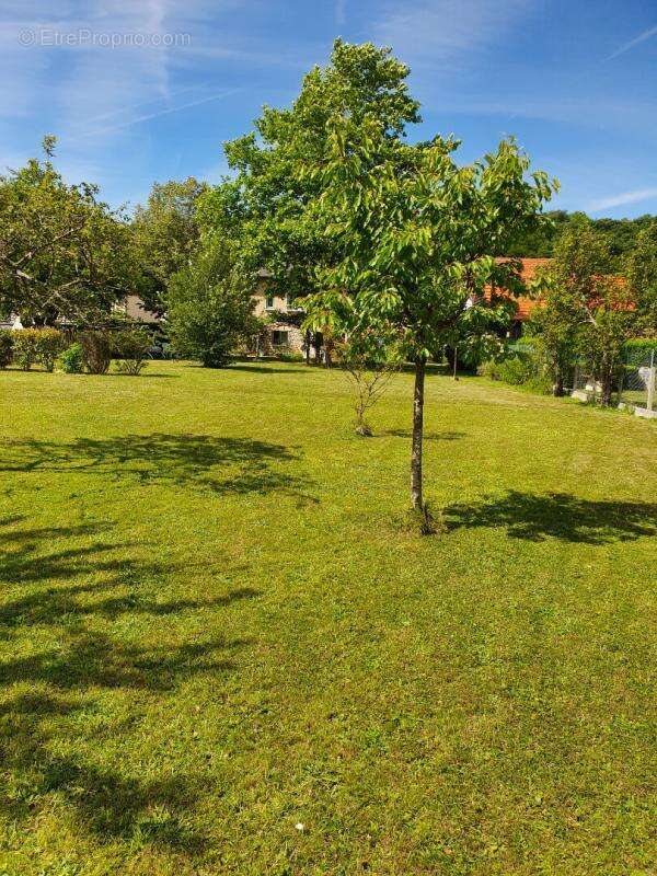 Maison 3 chambres 110 m2 sur beau terrain clos et arboré - photo 7