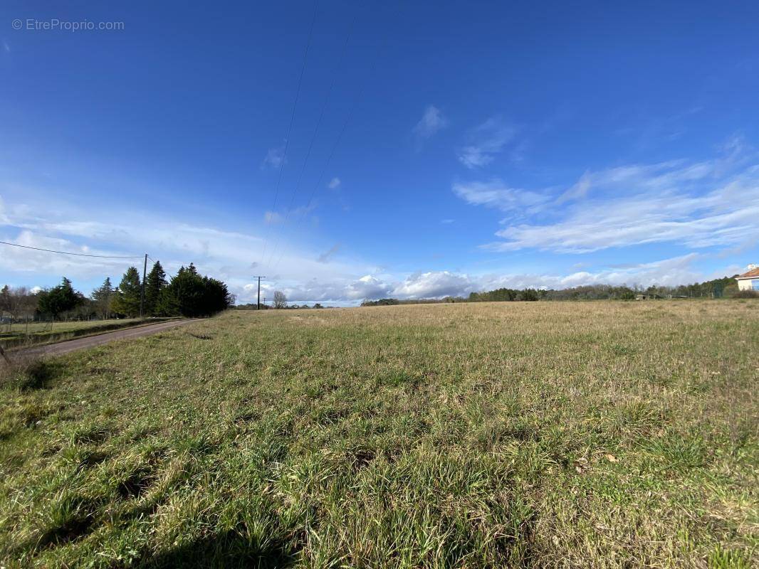 Terrain à CHAMPAGNAC-DE-BELAIR