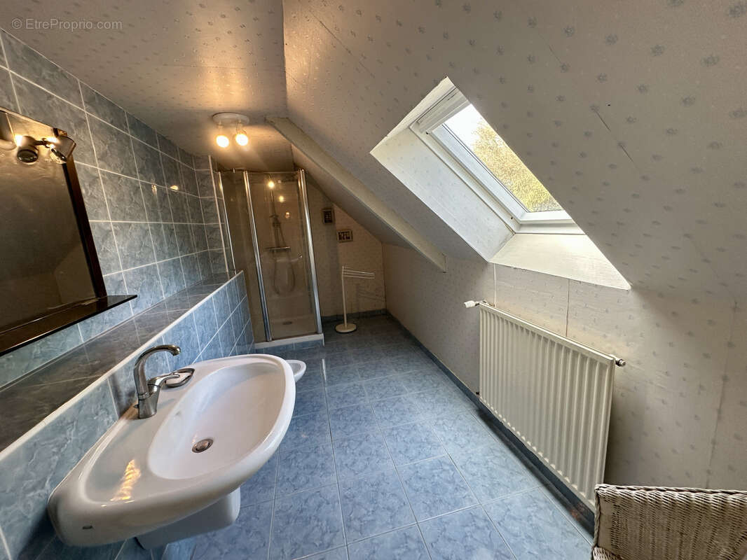 Maison 244 m² à Ploezal  - photo 16
