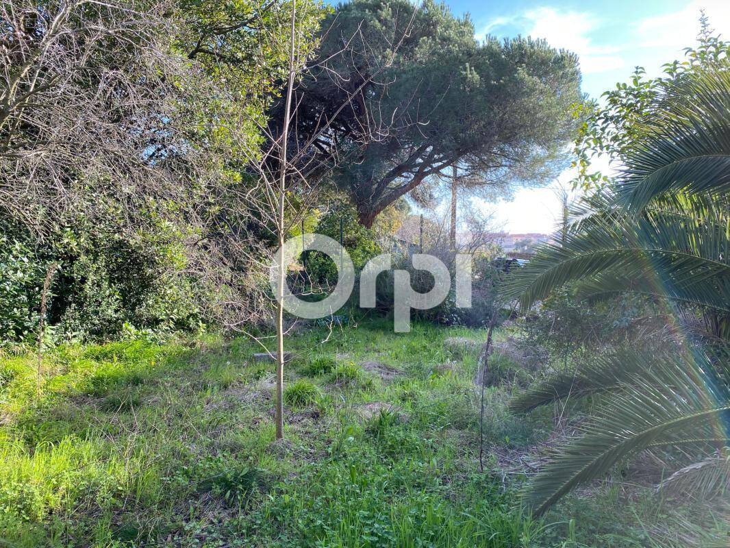 Terrain à CANNES